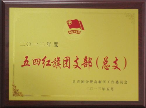 我司榮獲高新區(qū)“五四紅旗團(tuán)支部”榮譽(yù)稱號(hào)